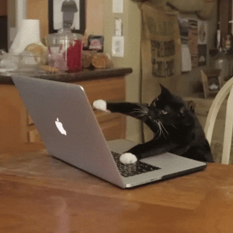 Welcome GIF